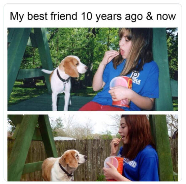 Family-Friendly Humor: Polite Jokes for All Ages