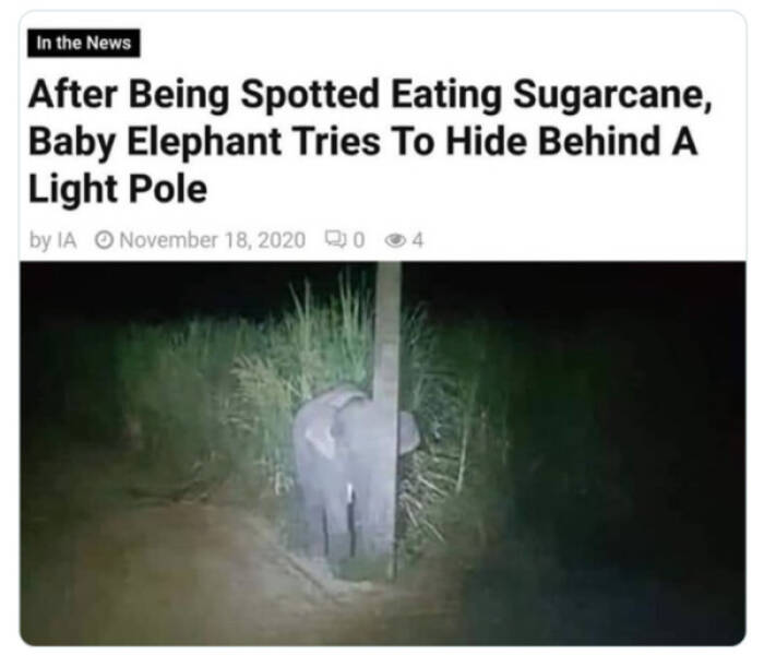 Family-Friendly Humor: Polite Jokes for All Ages