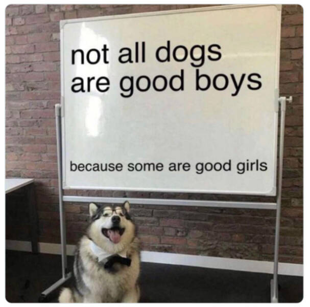 Family-Friendly Humor: Polite Jokes for All Ages