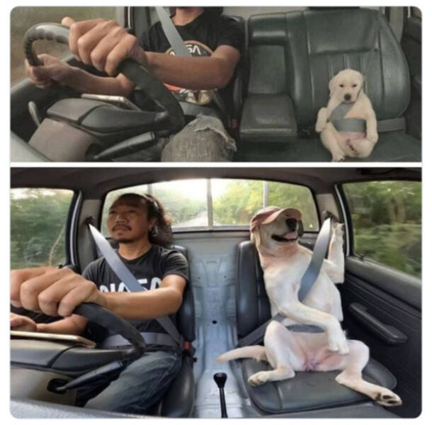 Family-Friendly Humor: Polite Jokes for All Ages