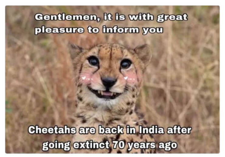 Family-Friendly Humor: Polite Jokes for All Ages