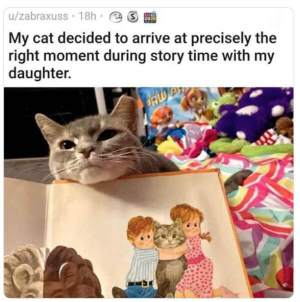 Family-Friendly Humor: Polite Jokes for All Ages