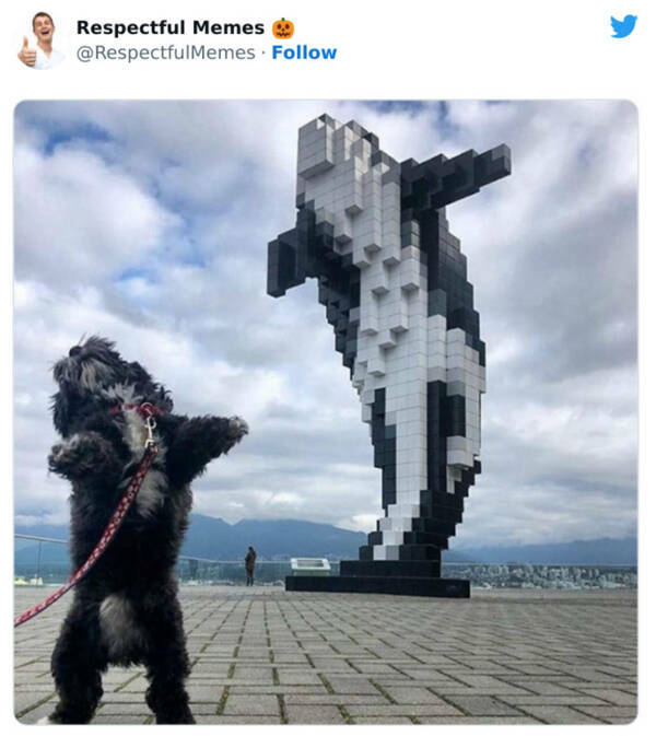 Family-Friendly Humor: Polite Jokes for All Ages