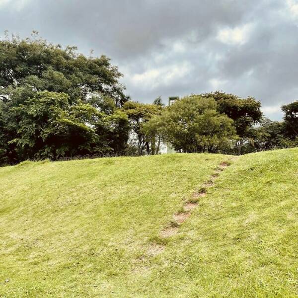 The Way People Really Walk: Desire Paths And Urban Planning Failures The Way People Really Walk: Desire Paths And Urban Planning Failures