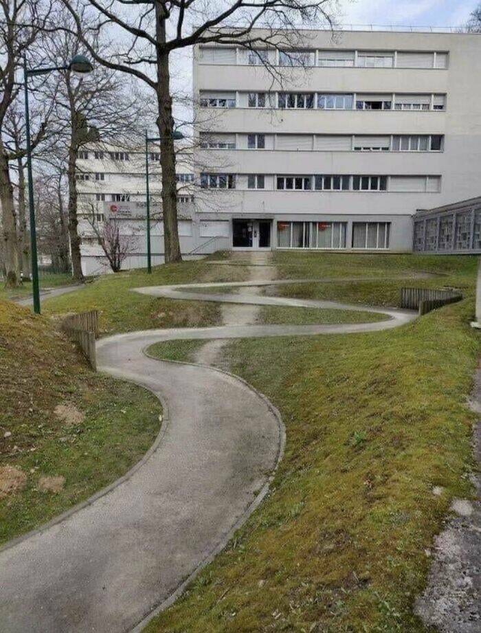 The Way People Really Walk: Desire Paths And Urban Planning Failures The Way People Really Walk: Desire Paths And Urban Planning Failures