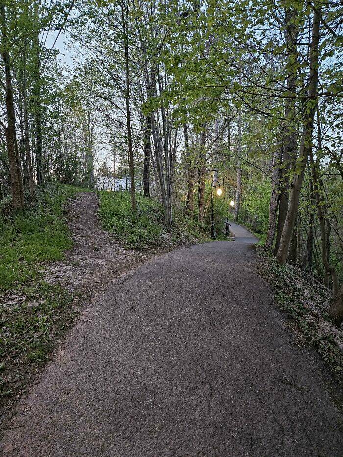 The Way People Really Walk: Desire Paths And Urban Planning Failures The Way People Really Walk: Desire Paths And Urban Planning Failures
