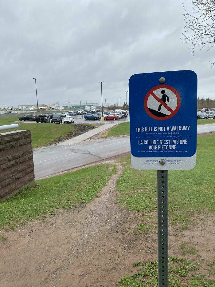 The Way People Really Walk: Desire Paths And Urban Planning Failures The Way People Really Walk: Desire Paths And Urban Planning Failures