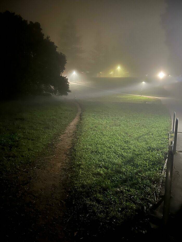The Way People Really Walk: Desire Paths And Urban Planning Failures The Way People Really Walk: Desire Paths And Urban Planning Failures