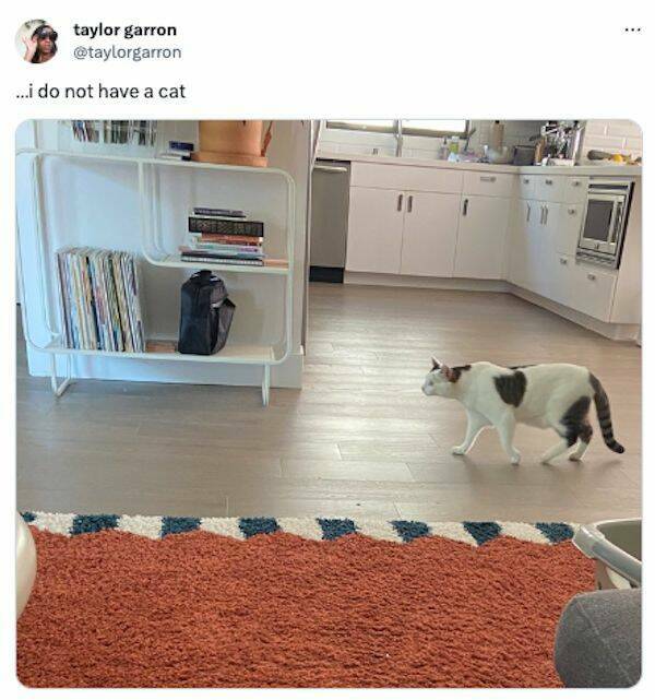 Tweeting With Humor: Top Picks Of The Week Tweeting With Humor: Top Picks Of The Week