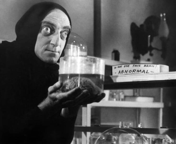 Discovering The Genius: Young Frankenstein Classic Facts