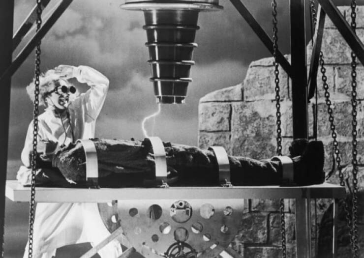 Discovering The Genius: Young Frankenstein Classic Facts