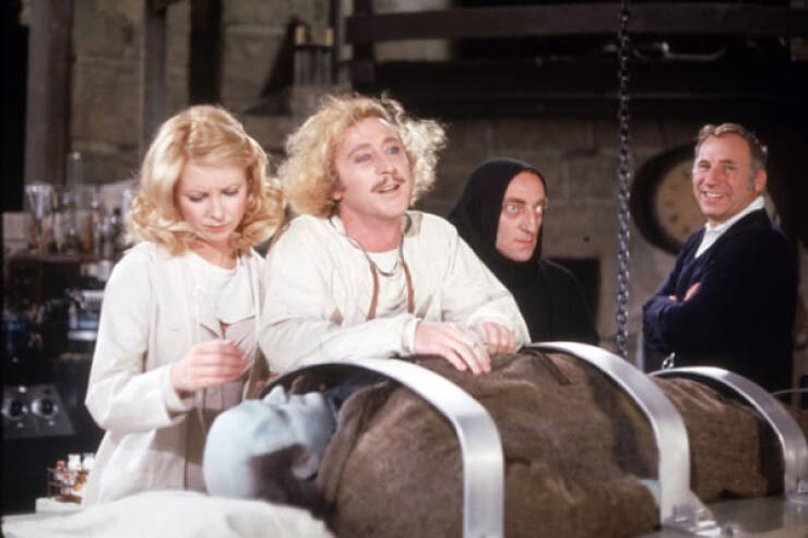 Discovering The Genius: Young Frankenstein Classic Facts