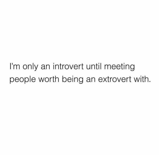Quiet Humor: Introvert Memes For Your Calm-Loving Buddies