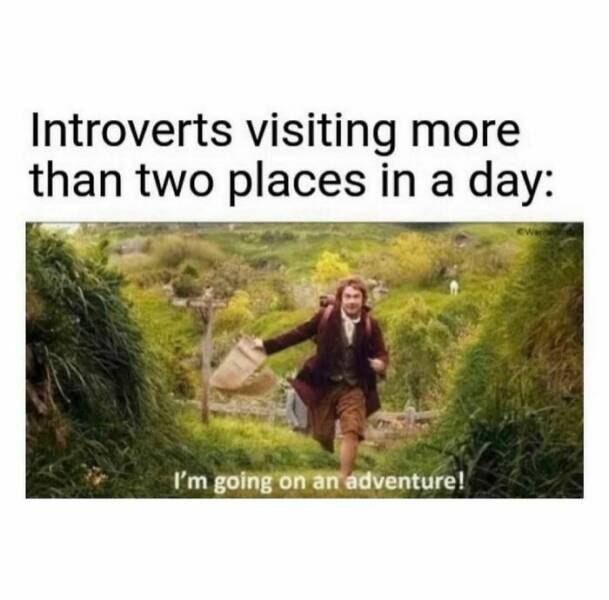 Quiet Humor: Introvert Memes For Your Calm-Loving Buddies