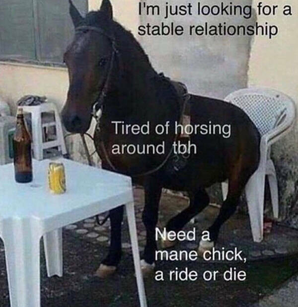 Universal Laughs For All The Quirky Souls Universal Laughs For All The Quirky Souls