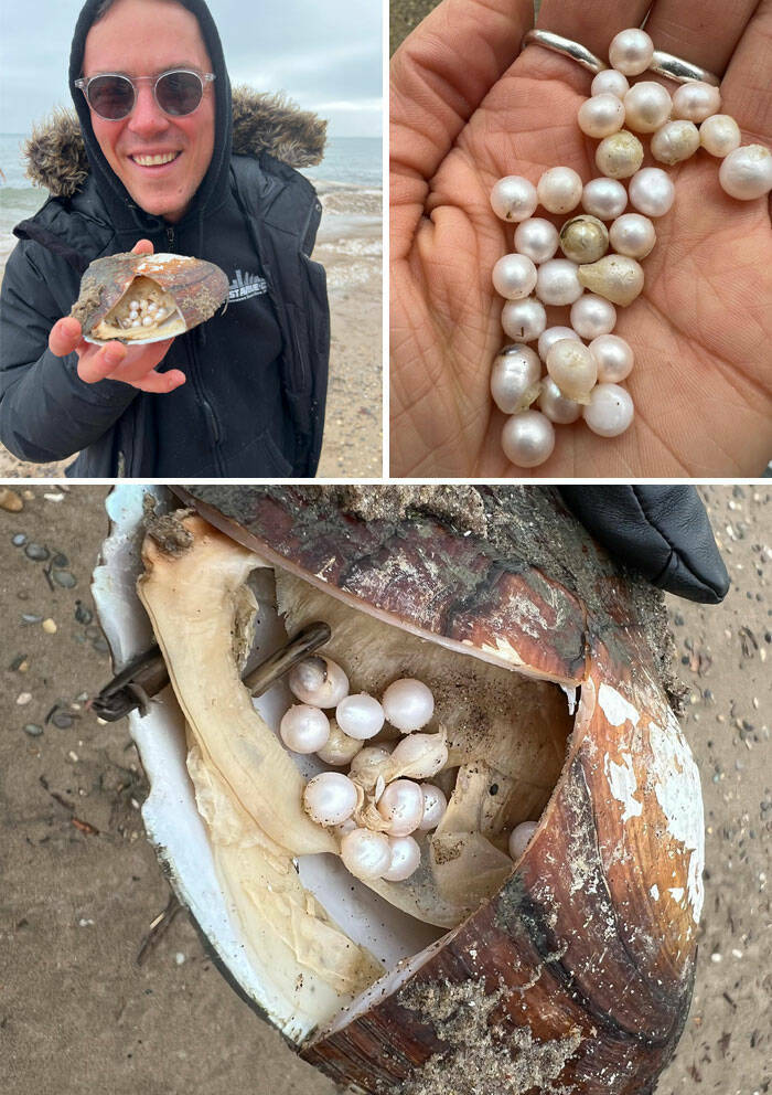 Unexpected Beach Bounty: Stories Of The Most Intriguing Finds