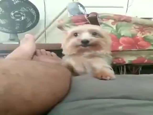 Let Me Climb On The Bed