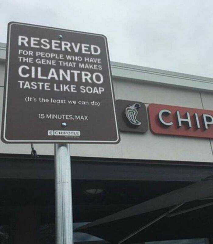 Laughable Signs: When Absurdity Takes The Stage