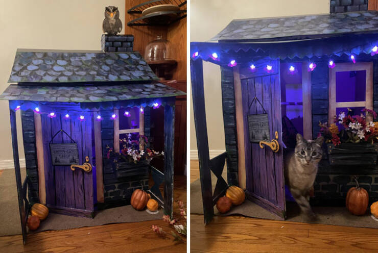 Halloween Magic: Spooky And Cute Decor Ideas For Inspiration Halloween Magic: Spooky And Cute Decor Ideas For Inspiration