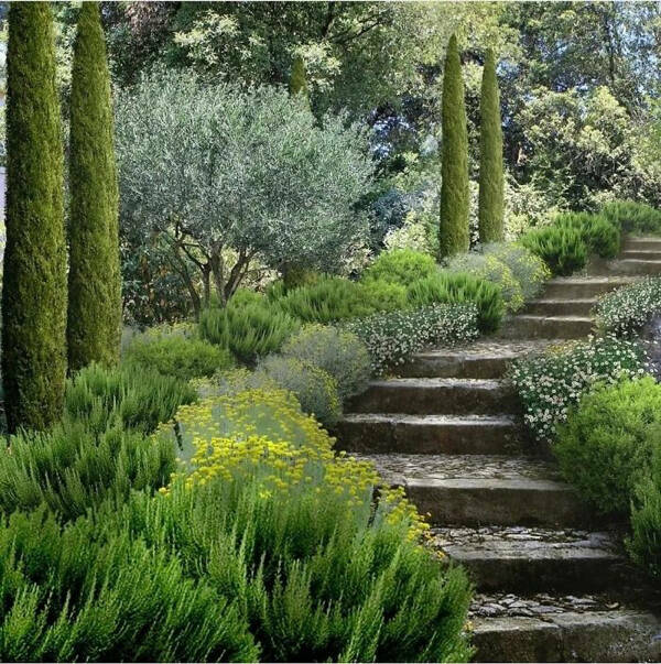 Gardening Glamour: Luxurious Landscapes To Spark Your Green Dreams