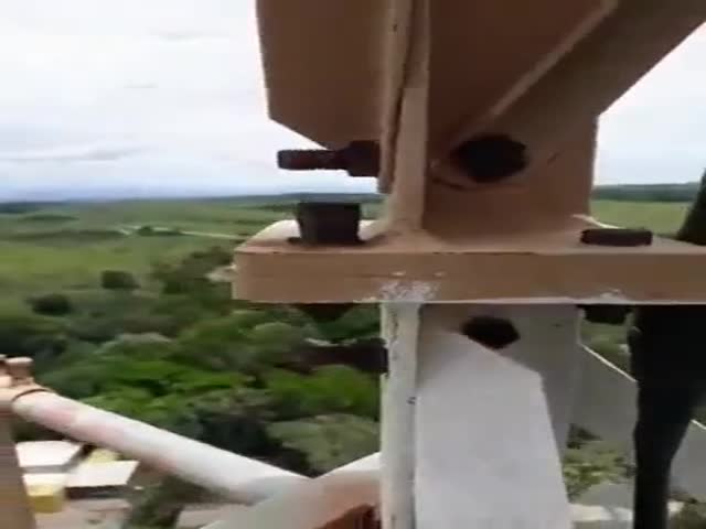 Looks Safe