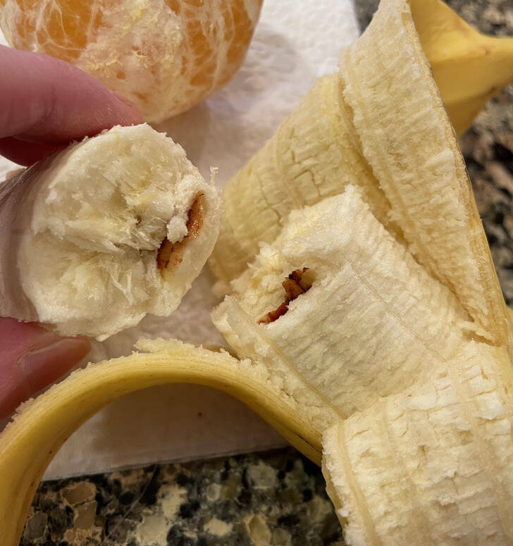 Discoverers Extraordinaire: People Who Uncovered Astonishing Finds Discoverers Extraordinaire: People Who Uncovered Astonishing Finds