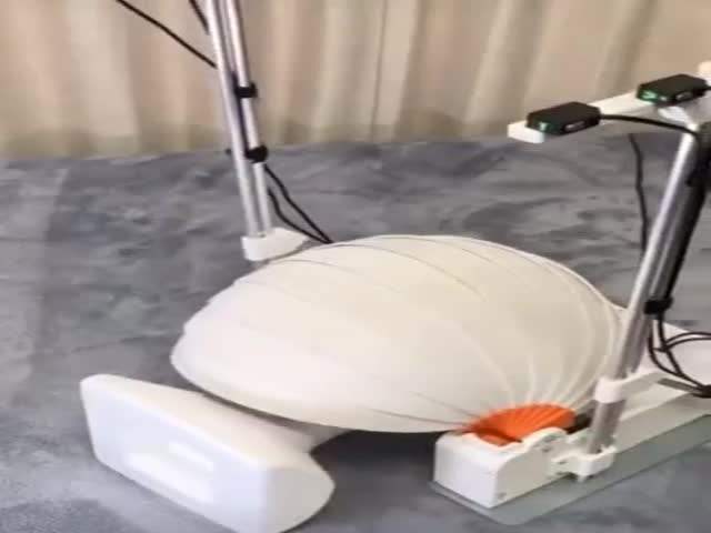 https://img.izismile.com/img/img15/20231025/video/the_most_useless_gadget_discovered_in_japan_400x300_01.jpg