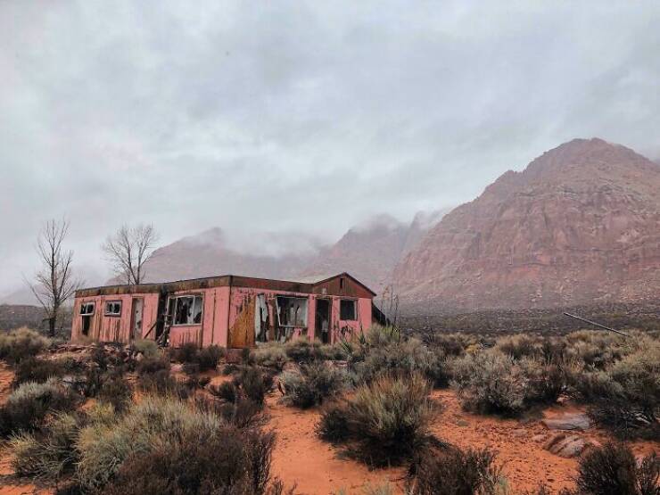 Surprising Desert Discoveries: Unusual Pictures