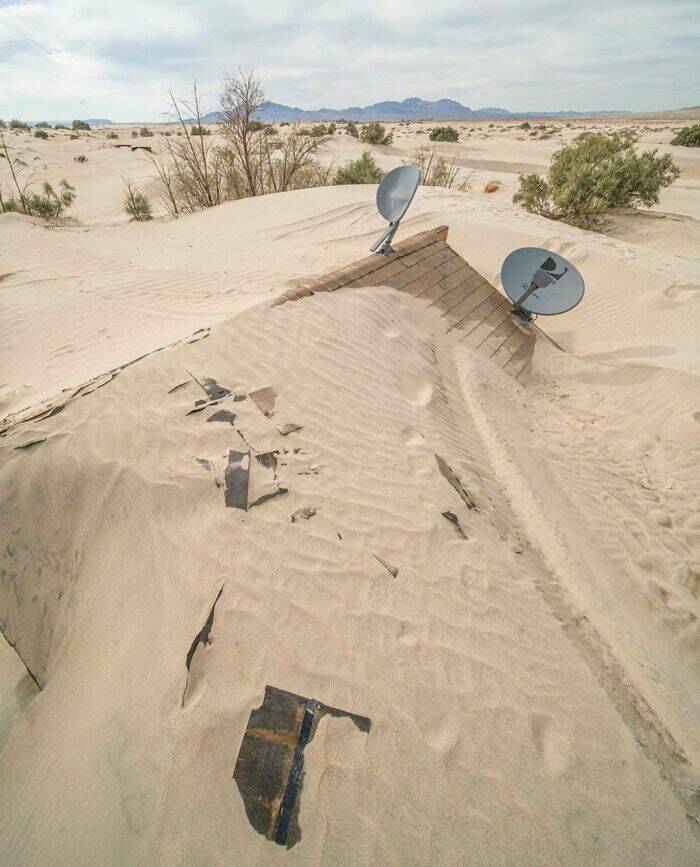 Surprising Desert Discoveries: Unusual Pictures