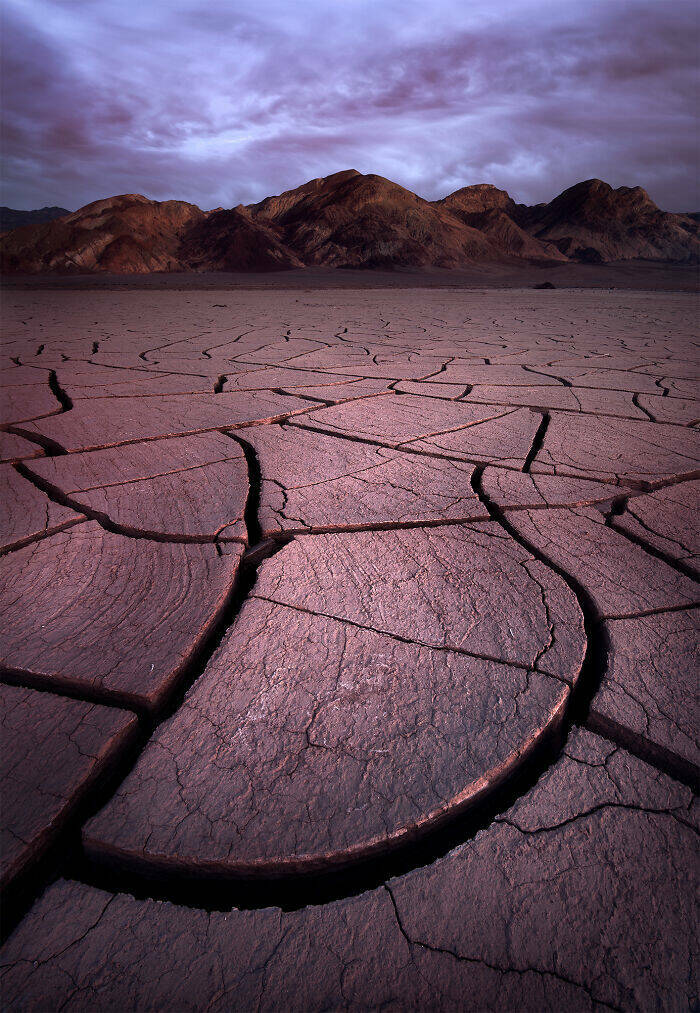 Surprising Desert Discoveries: Unusual Pictures