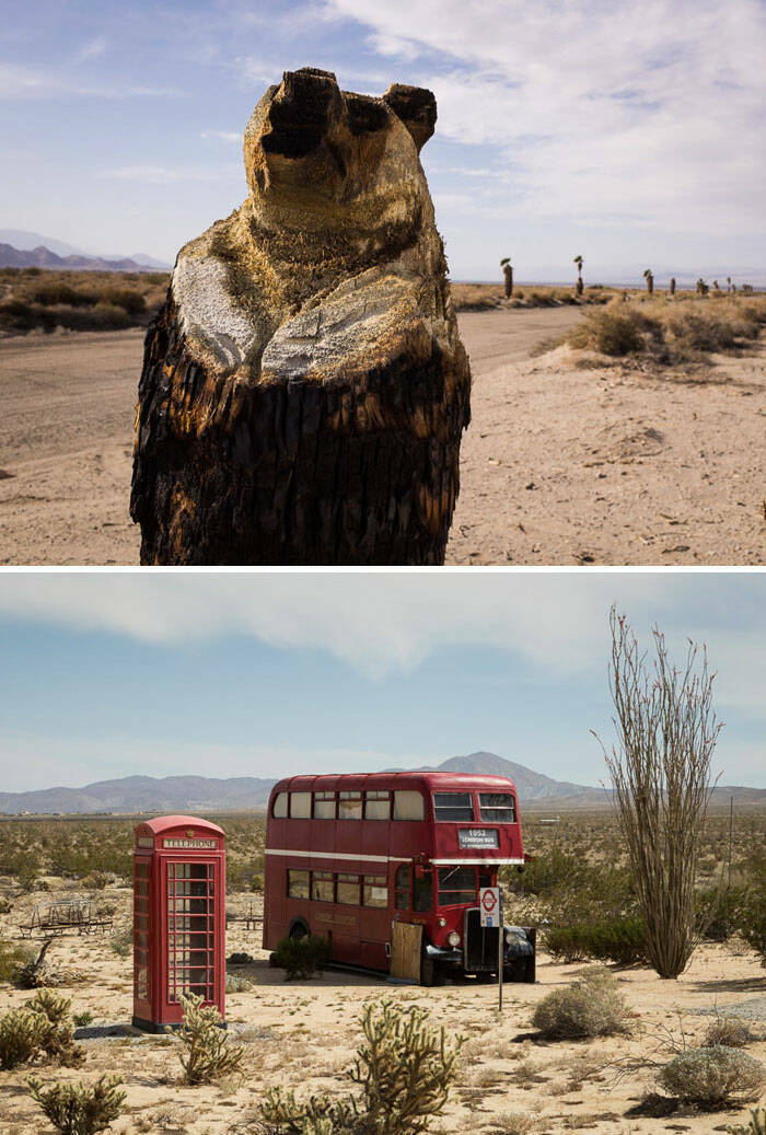 Surprising Desert Discoveries: Unusual Pictures