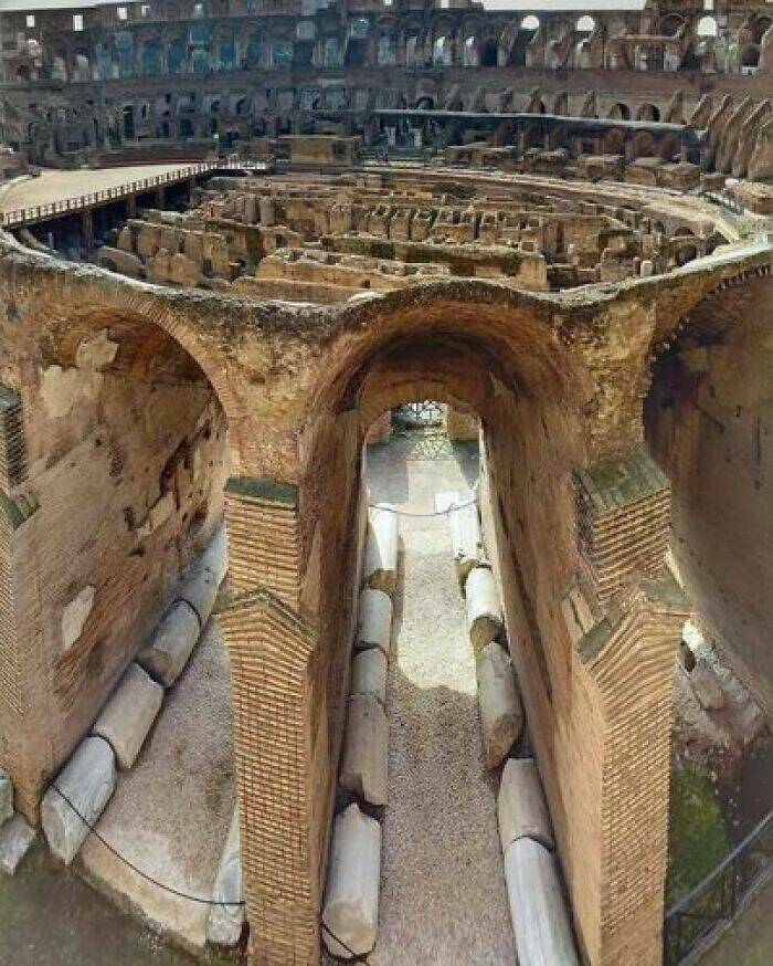 History Unveiled: Intriguing Facts To Pique Your Interest