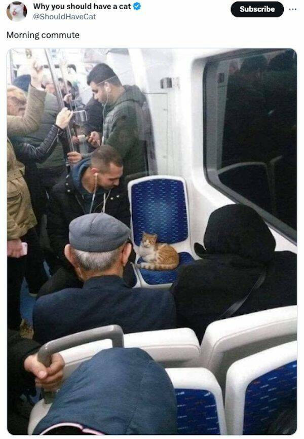 Tweeting With Humor: Top Picks Of The Week Tweeting With Humor: Top Picks Of The Week