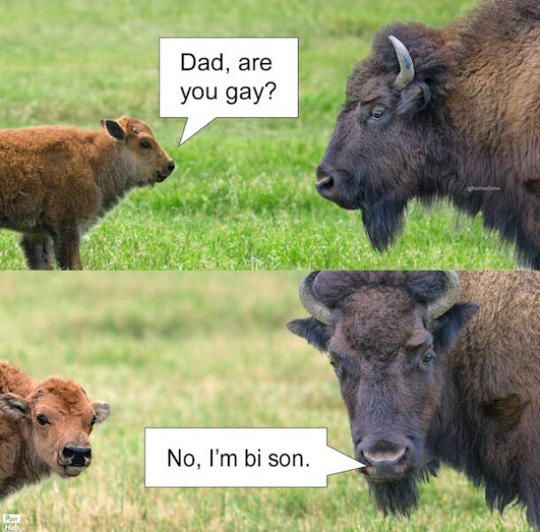 Dad Jokes And Eye-Rolling Memes: A Match Made In Punderful Heaven
