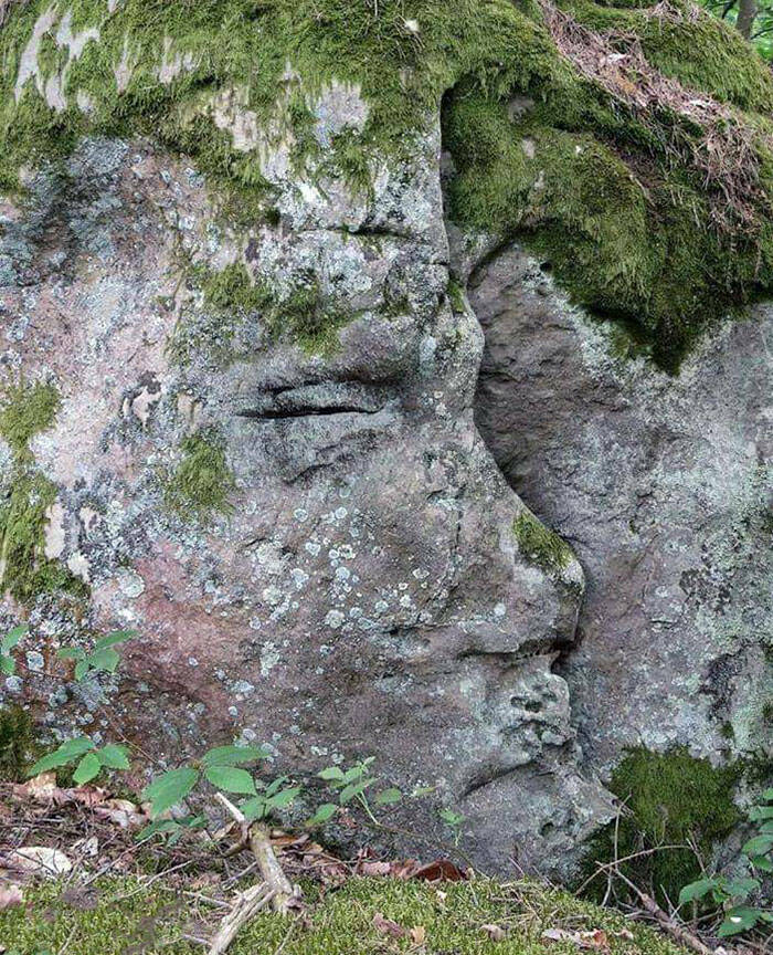 Pareidolia Wonders: Captivating And Unforeseen Instances