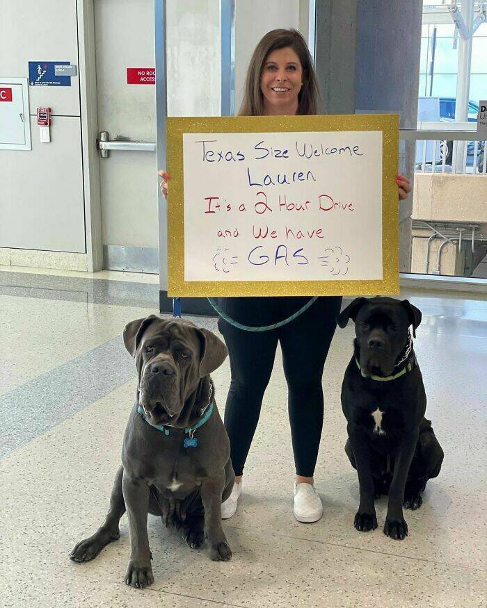 Airport Pickup Humor: Signs That Made Everyone Chuckle