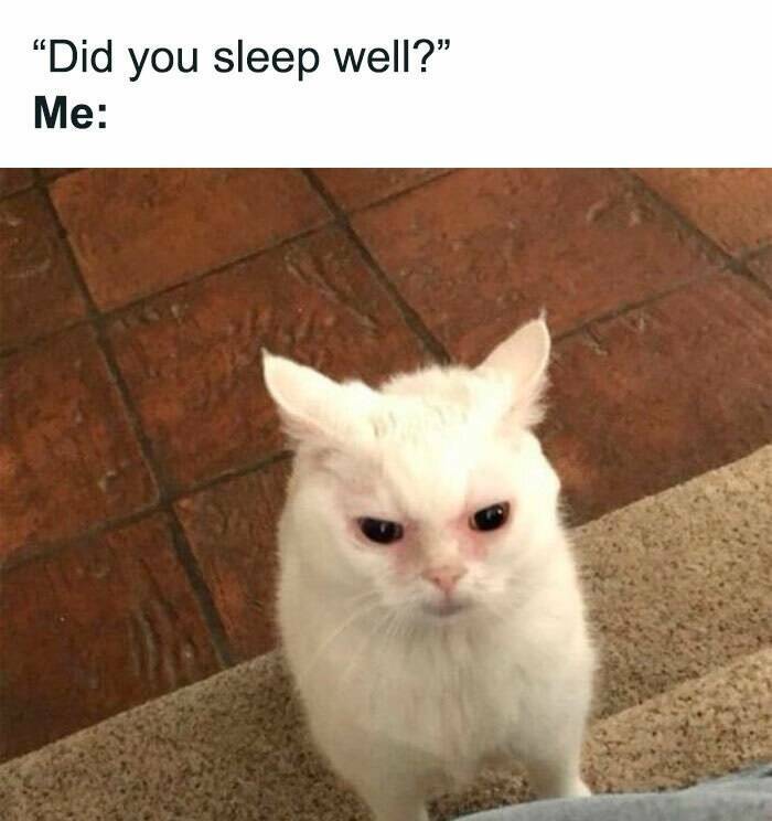 Laugh Your Way To Recovery: Memes That Heal Laugh Your Way To Recovery: Memes That Heal