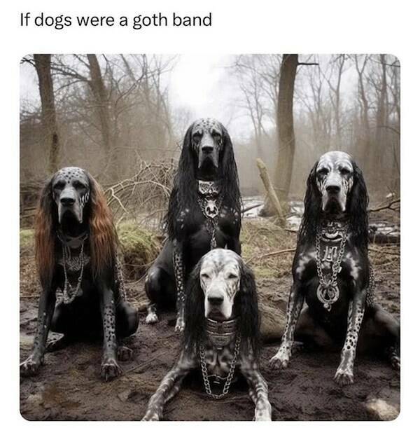 Tails Of Laughter: Dog Memes To Brighten Your Day Tails Of Laughter: Dog Memes To Brighten Your Day