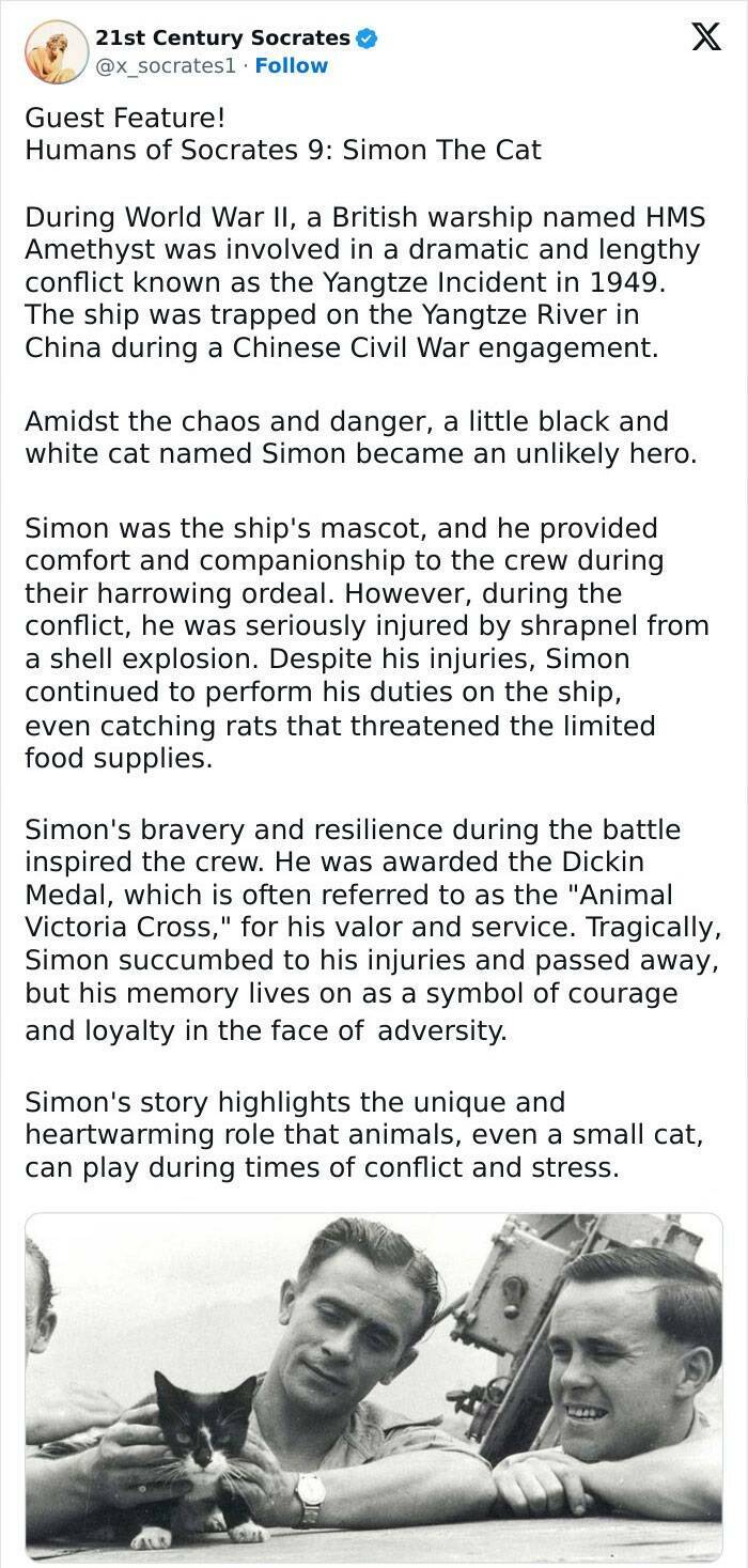 “21st Century Socrates”: Unforgettable Stories Of Humanity “21st Century Socrates”: Unforgettable Stories Of Humanity