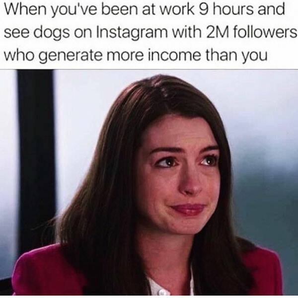 Navigating The Bizarre World Of Instagram