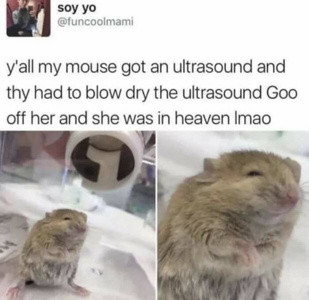 People Dropping A Sentence That Probably No One Has Ever Thought Of Before People Dropping A Sentence That Probably No One Has Ever Thought Of Before