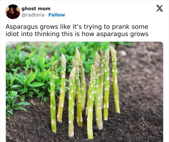 People Dropping A Sentence That Probably No One Has Ever Thought Of Before People Dropping A Sentence That Probably No One Has Ever Thought Of Before