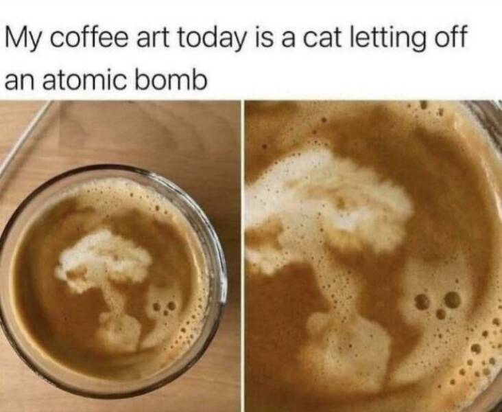 People Dropping A Sentence That Probably No One Has Ever Thought Of Before People Dropping A Sentence That Probably No One Has Ever Thought Of Before