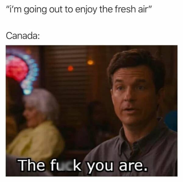 Maple Madness: Laughing Through The Best Canadian Memes
