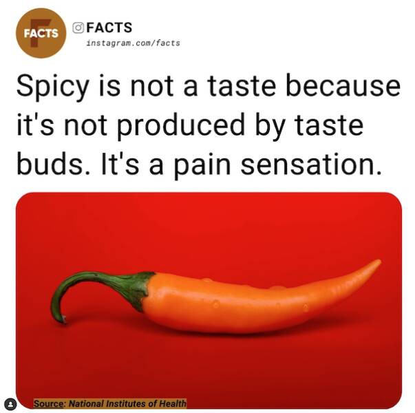 Unexpected Knowledge Bombs: Insane Facts That Will Leave You Awestruck