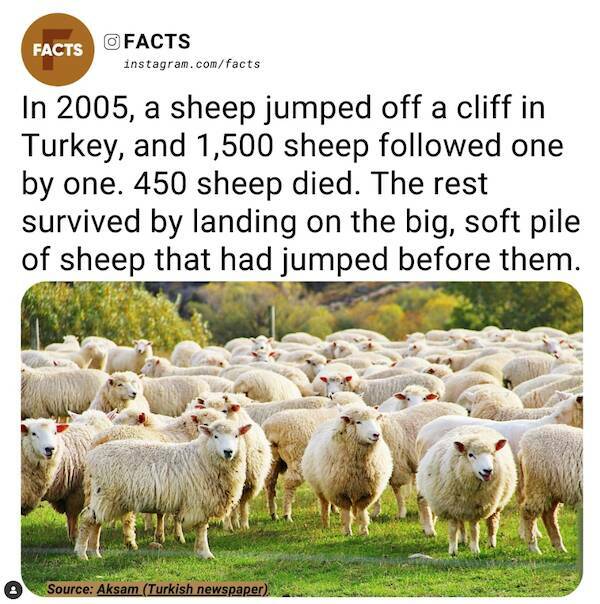 Unexpected Knowledge Bombs: Insane Facts That Will Leave You Awestruck