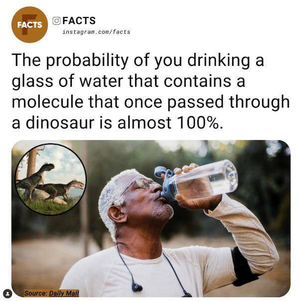 Unexpected Knowledge Bombs: Insane Facts That Will Leave You Awestruck