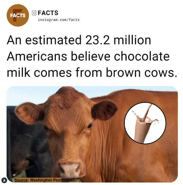 Unexpected Knowledge Bombs: Insane Facts That Will Leave You Awestruck