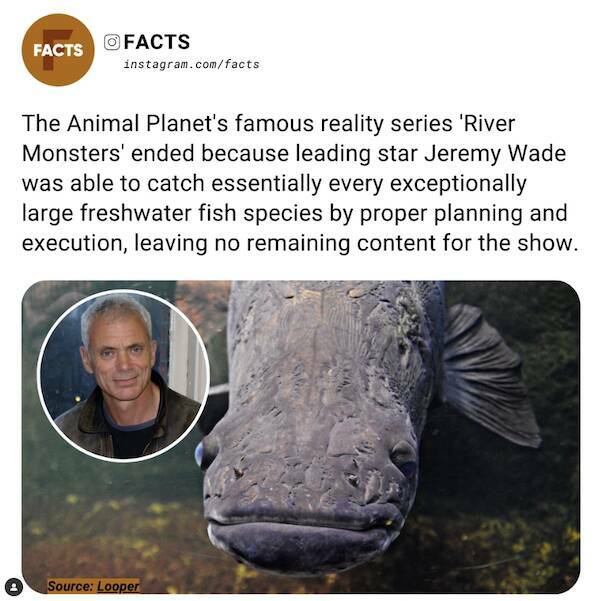 Unexpected Knowledge Bombs: Insane Facts That Will Leave You Awestruck