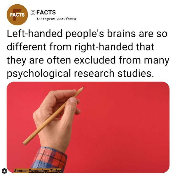 Unexpected Knowledge Bombs: Insane Facts That Will Leave You Awestruck
